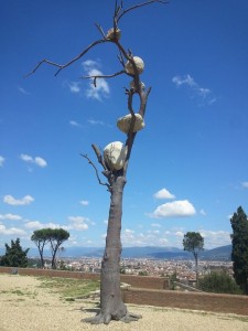 Prospettiva Vegetale a Firenze Forte di Belvedere