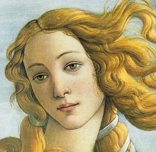 La Venere di Botticelli, probabilmente ispirata dalle moglie olandesi dei mercanti fiorentini